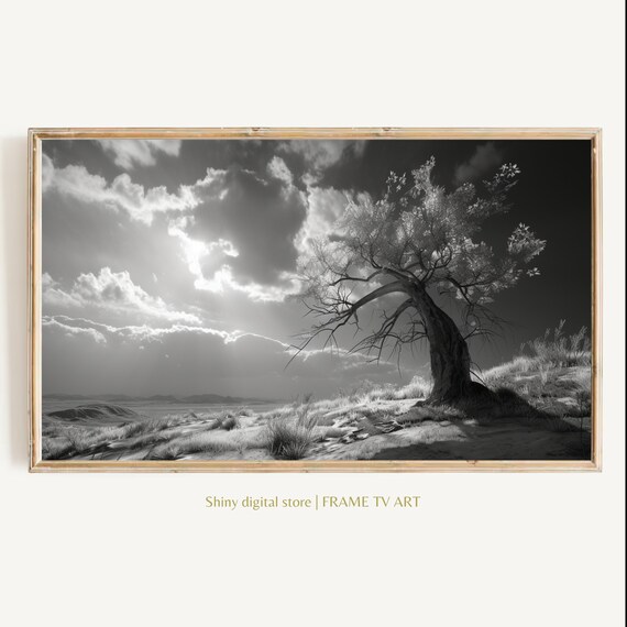 Frame Tv Art Black White Landscape 4k Uhd Home Decor Accent Modern Housewarming Gift