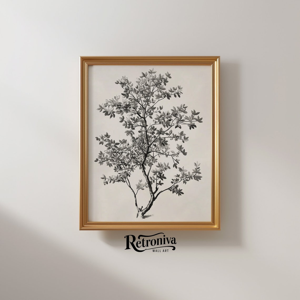 Antique Black And White Botanical Shrub Drawing Vintage Poster - Image 2