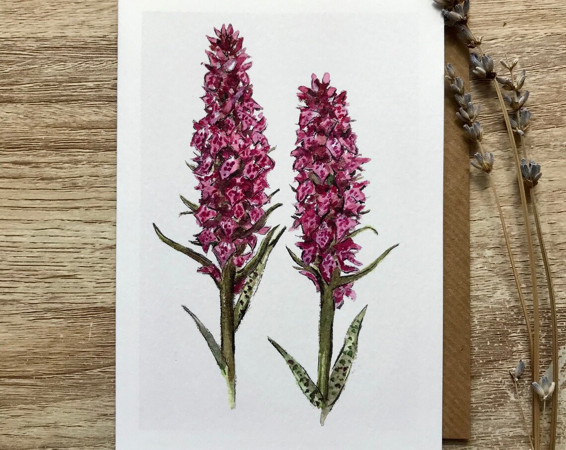 Orchid Card Art Print, Botanical Floral Study