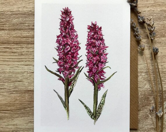 Orchid Card Art Print, Botanical Floral Study
