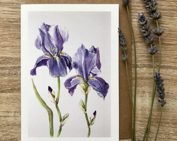 Iris Card, Botanical Art Print