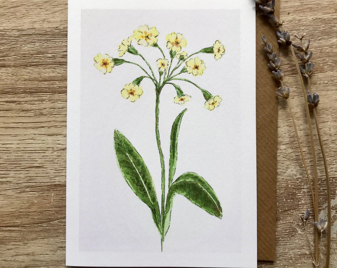 Delicate Yellow Primrose Botanical Spring Watercolor Wall Art