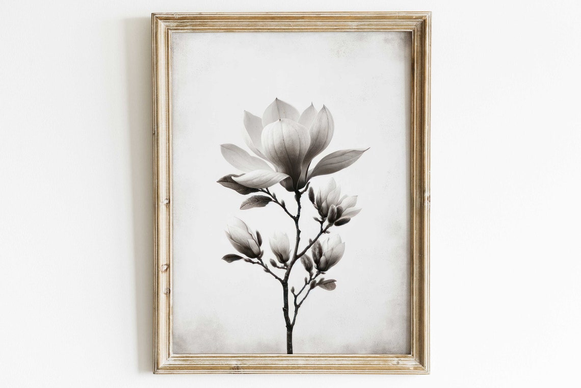 White Magnolia Flower Minimalist Botanical Black and White Art Print