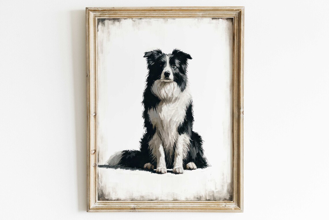 Border Collie Dog Sitting Portrait Black and White Vintage Art Print