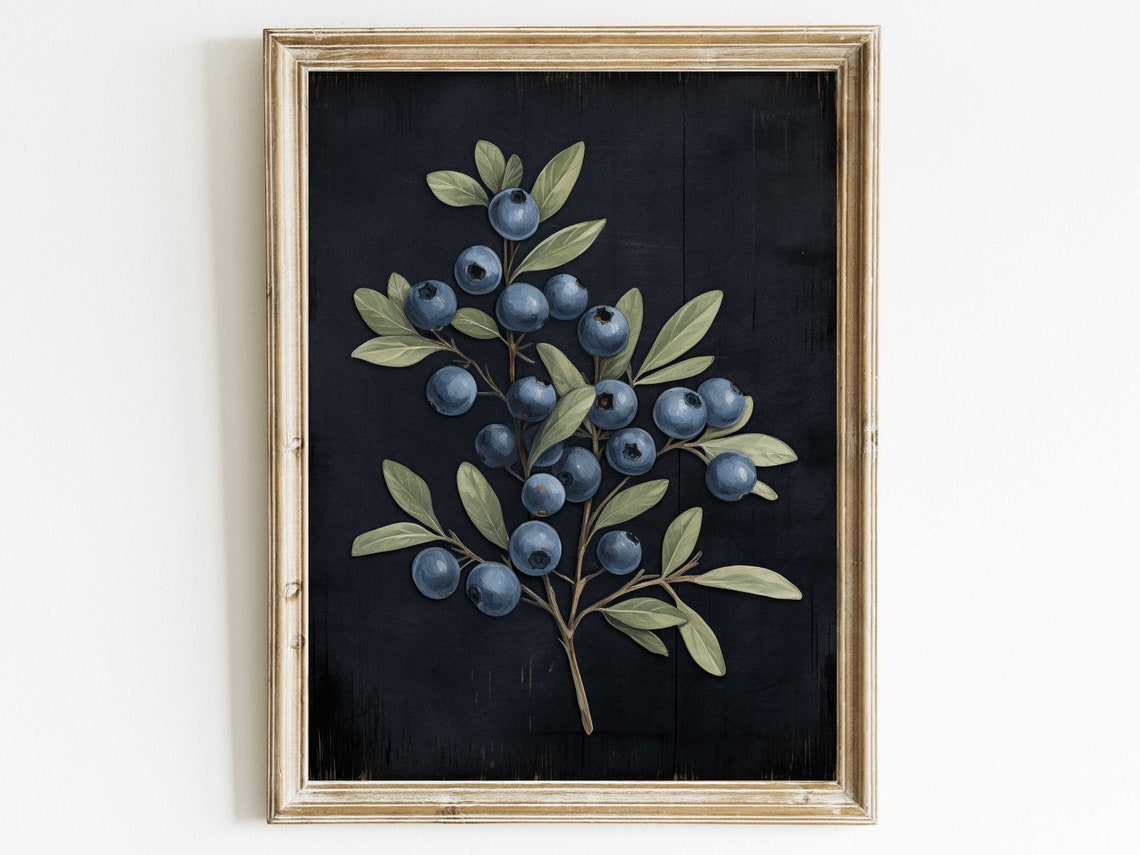 Blueberry Branch Botanical Study on a Dark Background Poster