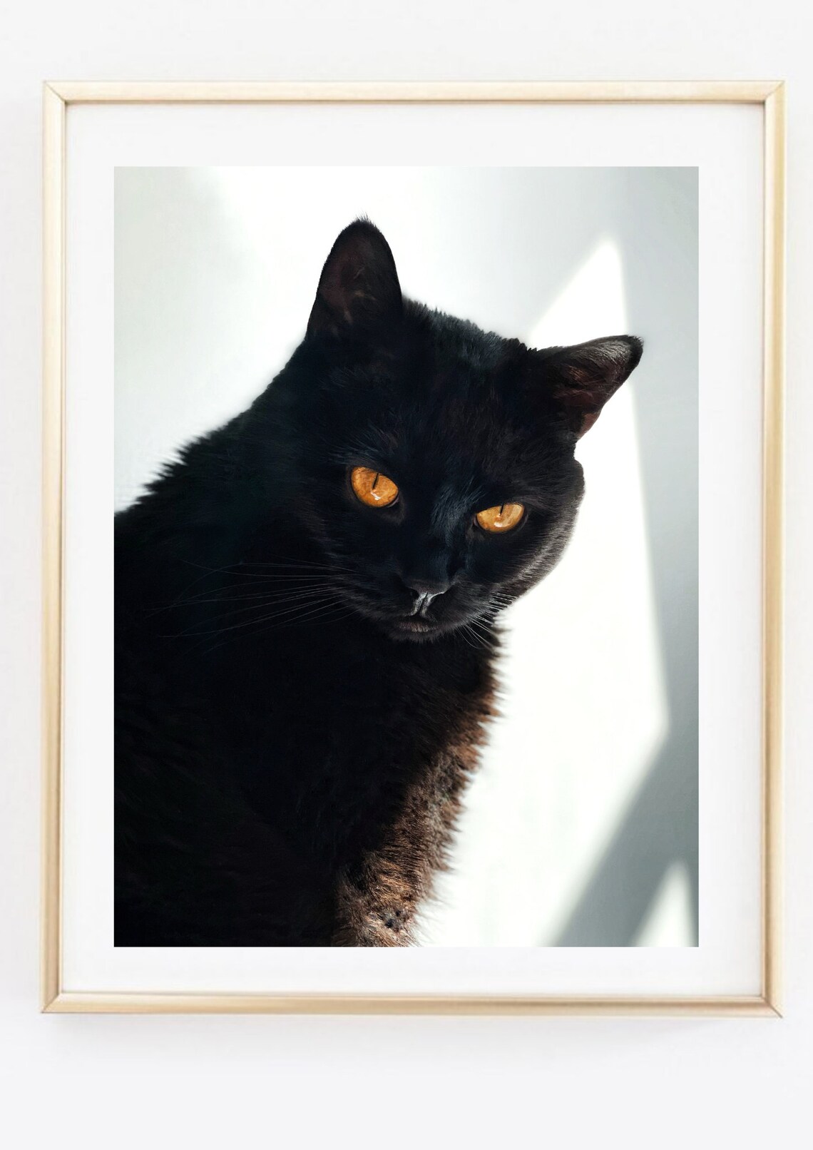 Black Cat with Amber Eyes Photography Portrait Elegant Feline Wall Art - Image 2