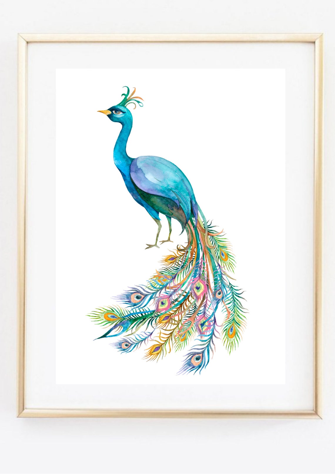 Colorful Peacock Profile Long Trailing Tail Feather Watercolor Print