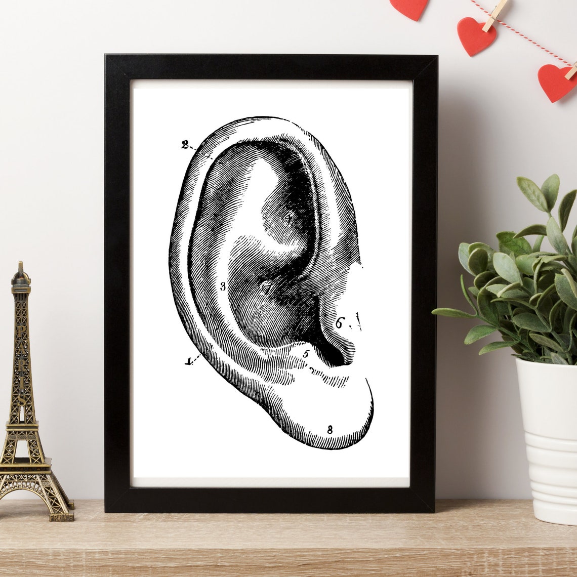 Vintage Ear Anatomy Engraving Retro Medical Scientific Wall Art - Image 3