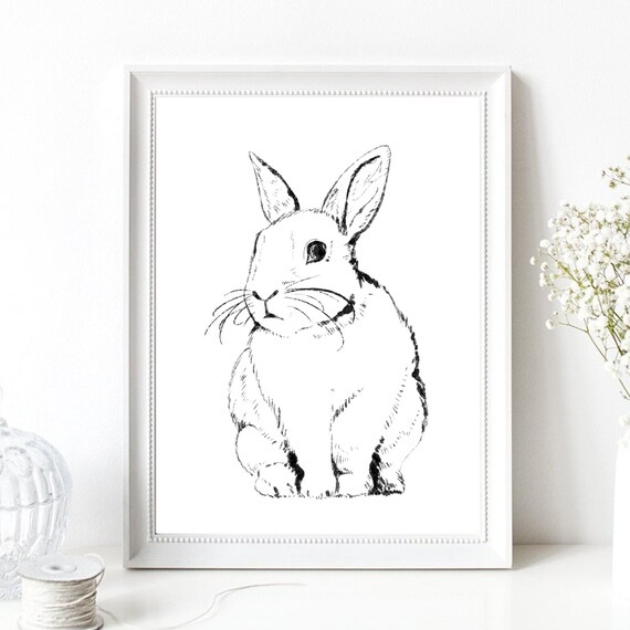 Cute Bunny Rabbit Sketch Black White Minimalist Animal Poster