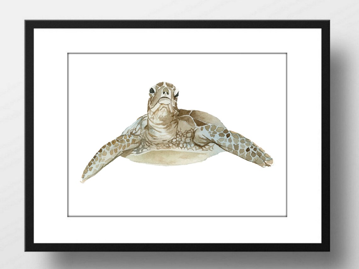Din A4 Art Print Without Frame Turtle Turtle Sea Sea Ocean Bathroom Watercolor Image Poster 2