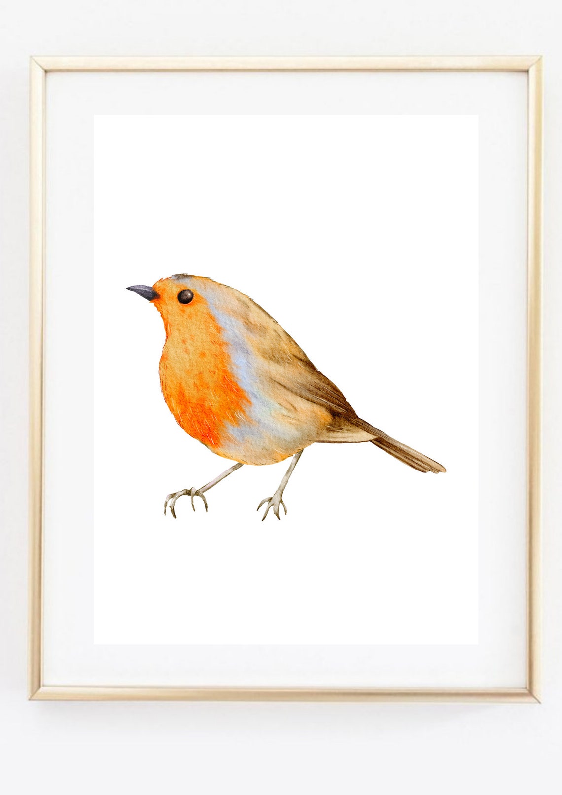 Robin Bird Nature Watercolor Art Print - Image 2