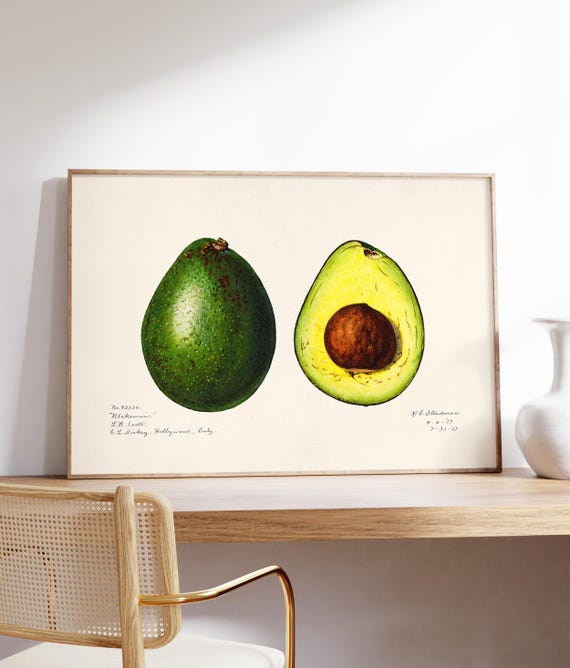 Avocado Minimalist Kitchen Art Print, Modern Poster