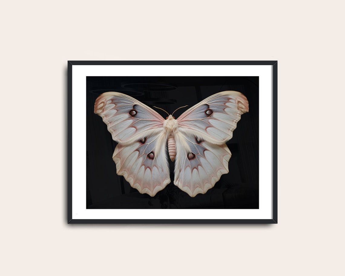 White Blush Moth Eyespot Wings Dark Academia Vintage Wall Art Poster - Image 2
