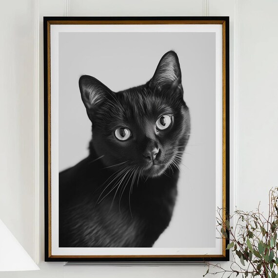Black Cat Close Up Black and White Pet Portrait Photography Poster
