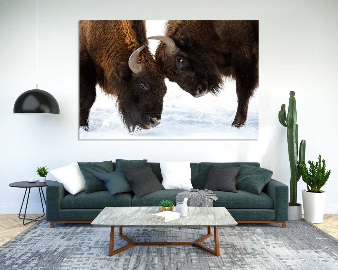 Two Bison Facing Off In The Snow Wildlife Winter Portrait Wall Art - Image 2