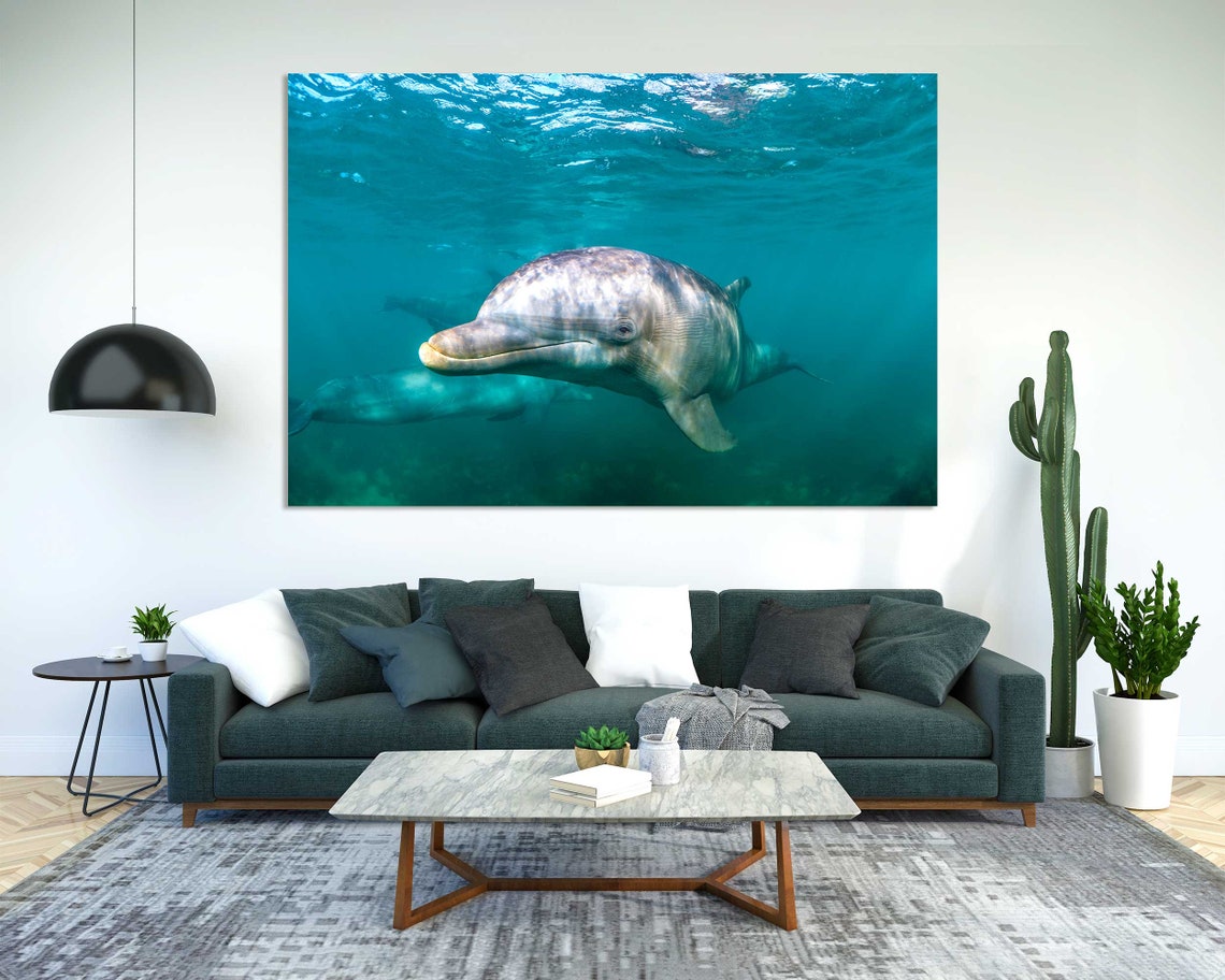 Smiling Bottlenose Dolphin Underwater Turquoise Ocean Wall Poster - Image 2
