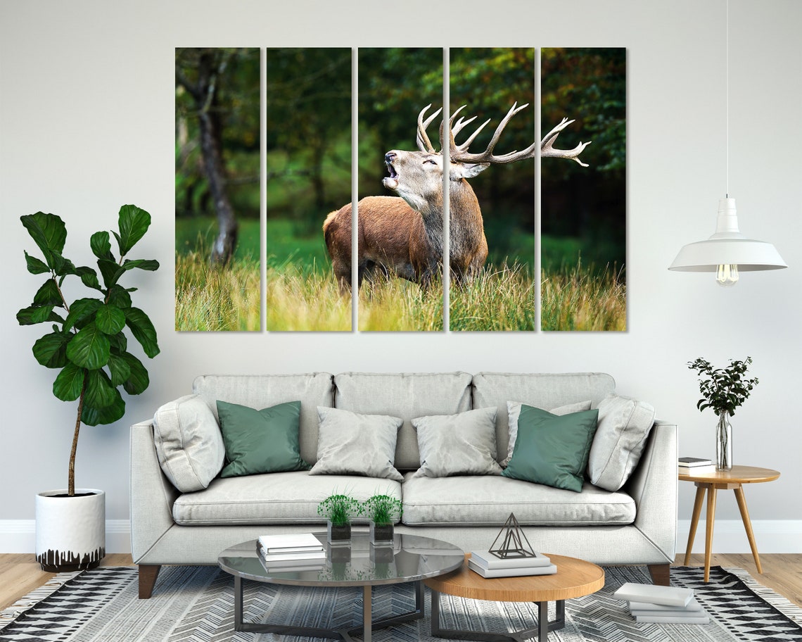 Red Deer Stag Bellowing In Meadow Wild Antlers Wildlife Photo Poster - Image 7