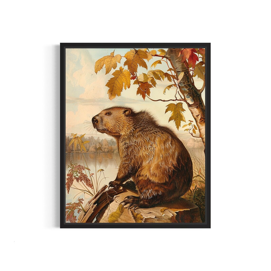 Vintage Beaver By Autumn Lake Natural History Wildlife Art Poster