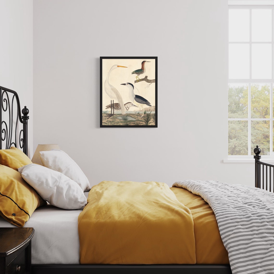 Great White Egret Green Heron Bird Vintage Ornithology Wall Art - Image 2