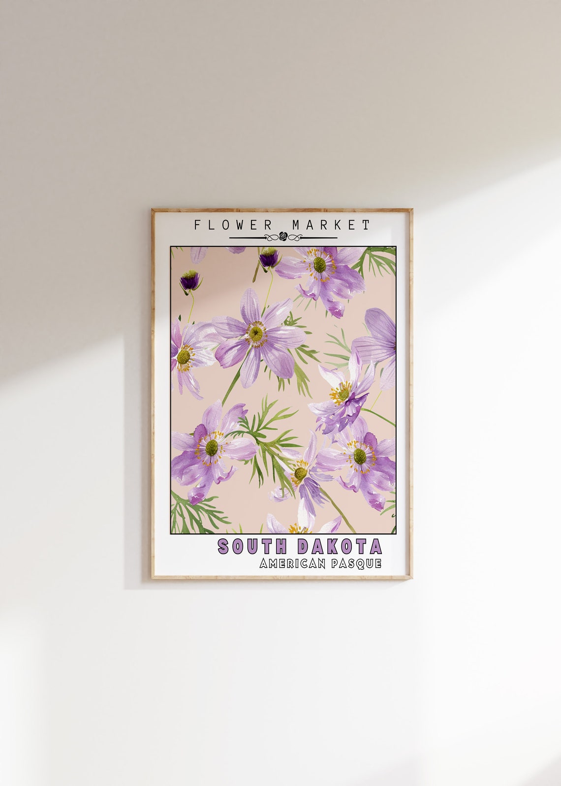 South Dakota American Pasque Flower Market Botanical Art Print