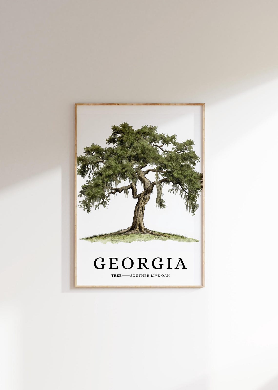 Georgia Southern Live Oak Tree Botanical Minimalist State Tree Poster