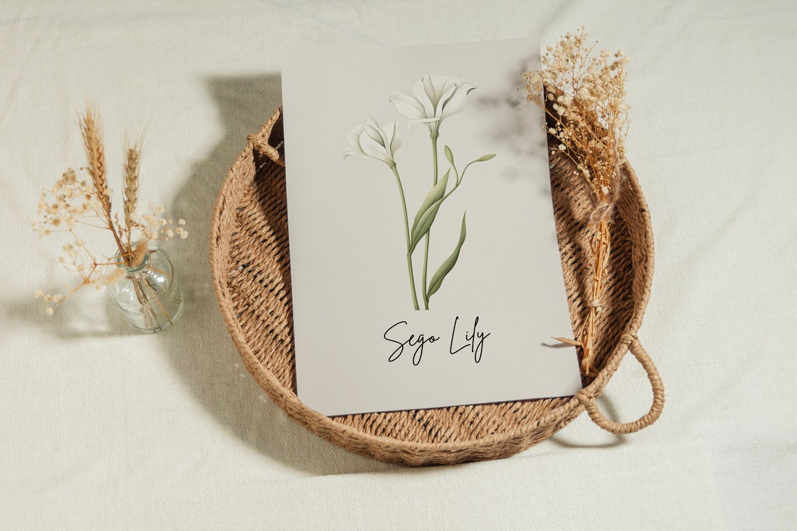 Sego Lily Botanical Watercolor Art Minimalist White Flower Wall Print - Image 3