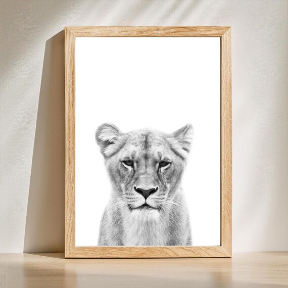 Lion Poster, Elegant Wildlife Animal Portrait