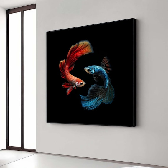 Red and Blue Betta Fish Siamese Fighting Fish on Black Wall Art