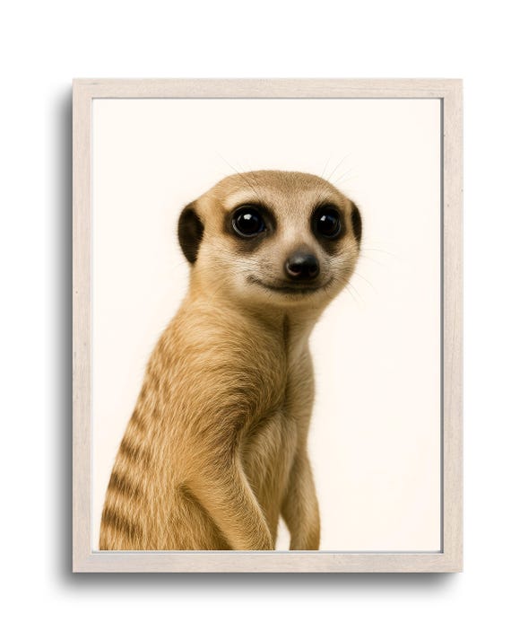 Funny Meerkat Bathroom Wall Art Gift For Her Him Cute Toilet Humor Decor Poster