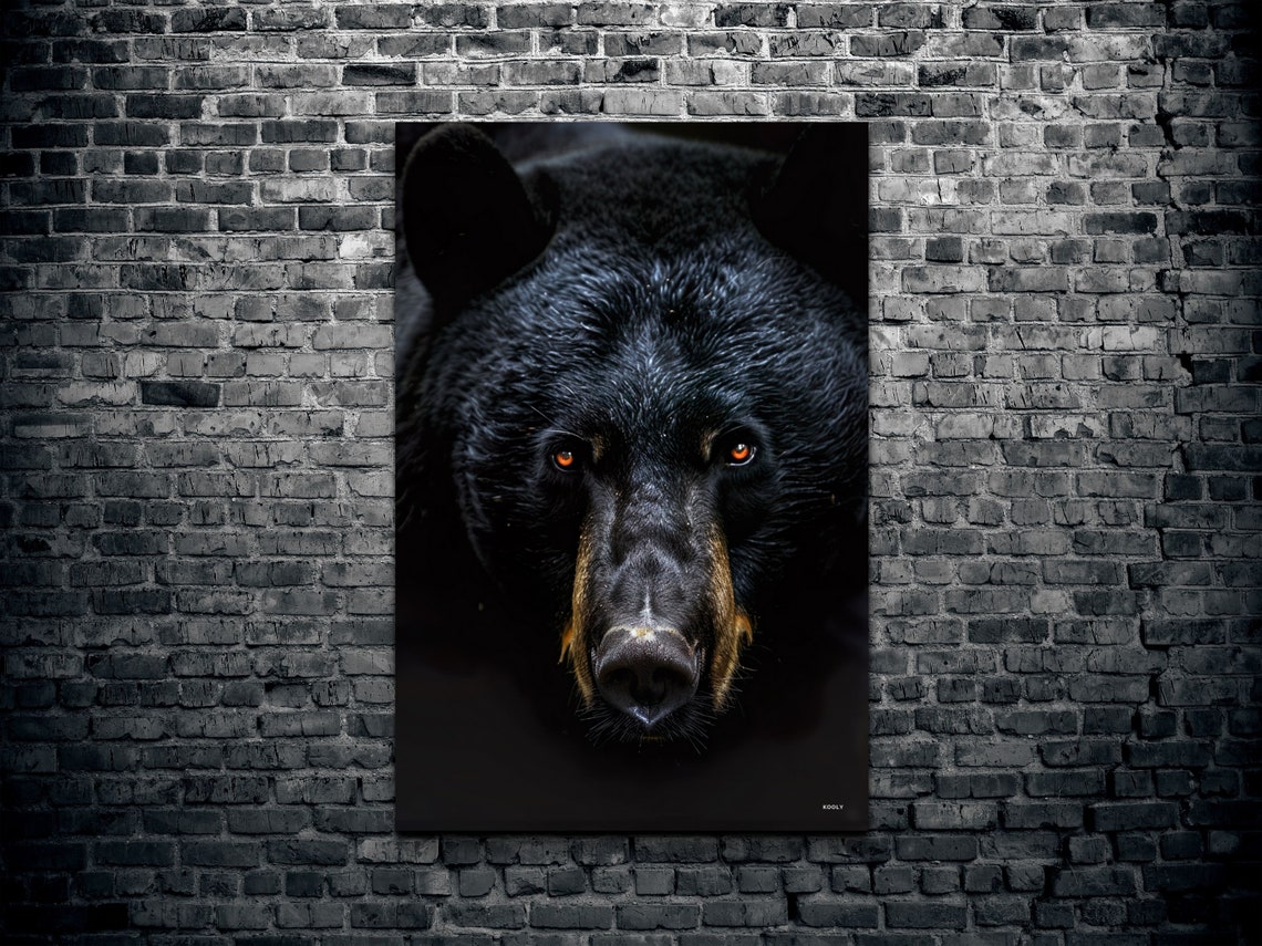 Black Bear Face Portrait Dramatic Dark Background Wildlife Wall Art - Image 2