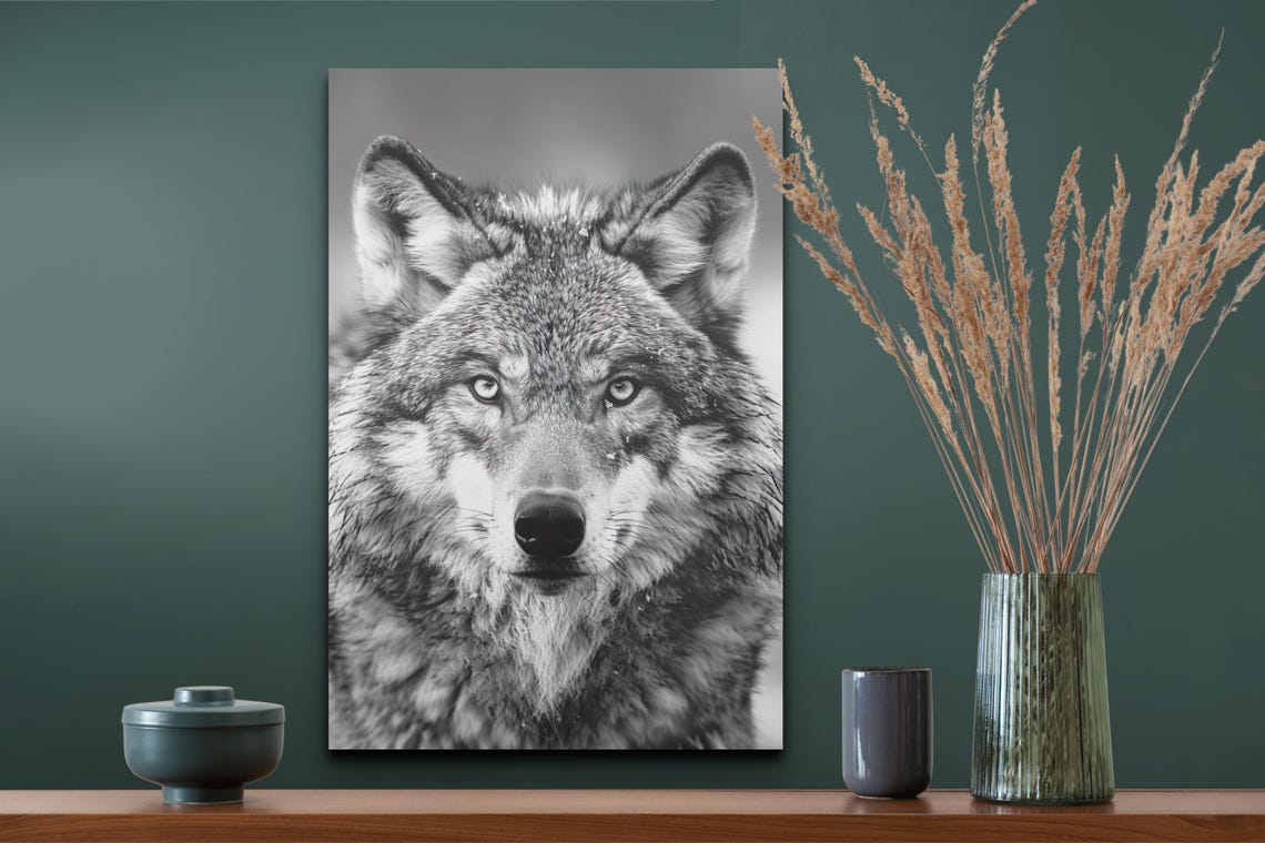 Gray Wolf Face Portrait Black and White Wildlife Photo Art Poster - Image 7