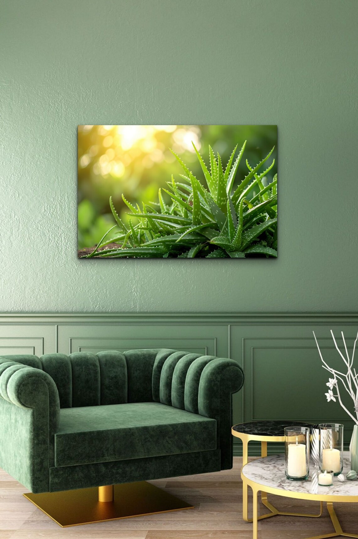 Aloe Vera Plant Sunlit Garden Green Botanical Photography Wall Art - Image 7