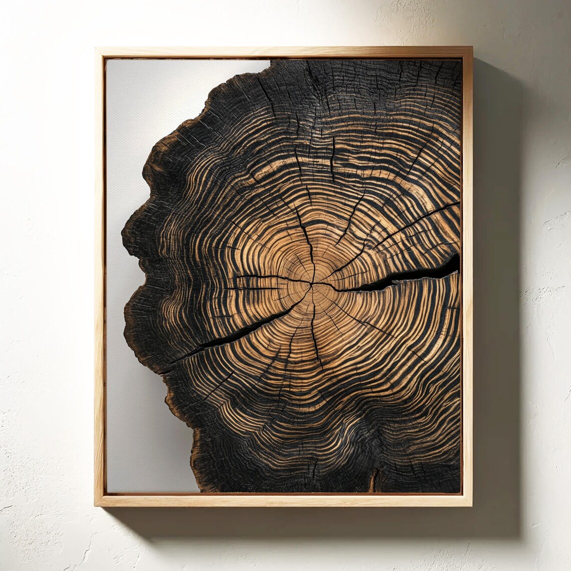 Natural Tree Ring Print, Black and Gold Wood Art - Image 3