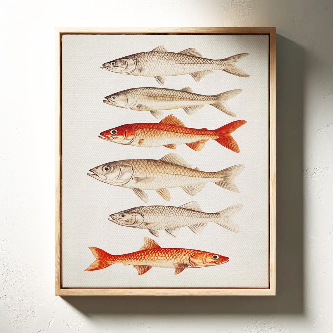 Six Fish Species Vintage Illustration Rustic Coastal Nature Art Poster - Image 3