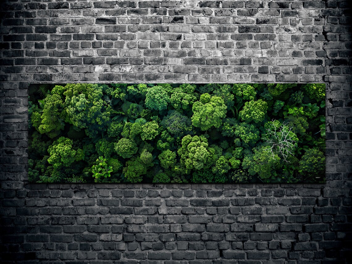Aerial View Of The Forest, Nature Wilderness Decor - Image 2