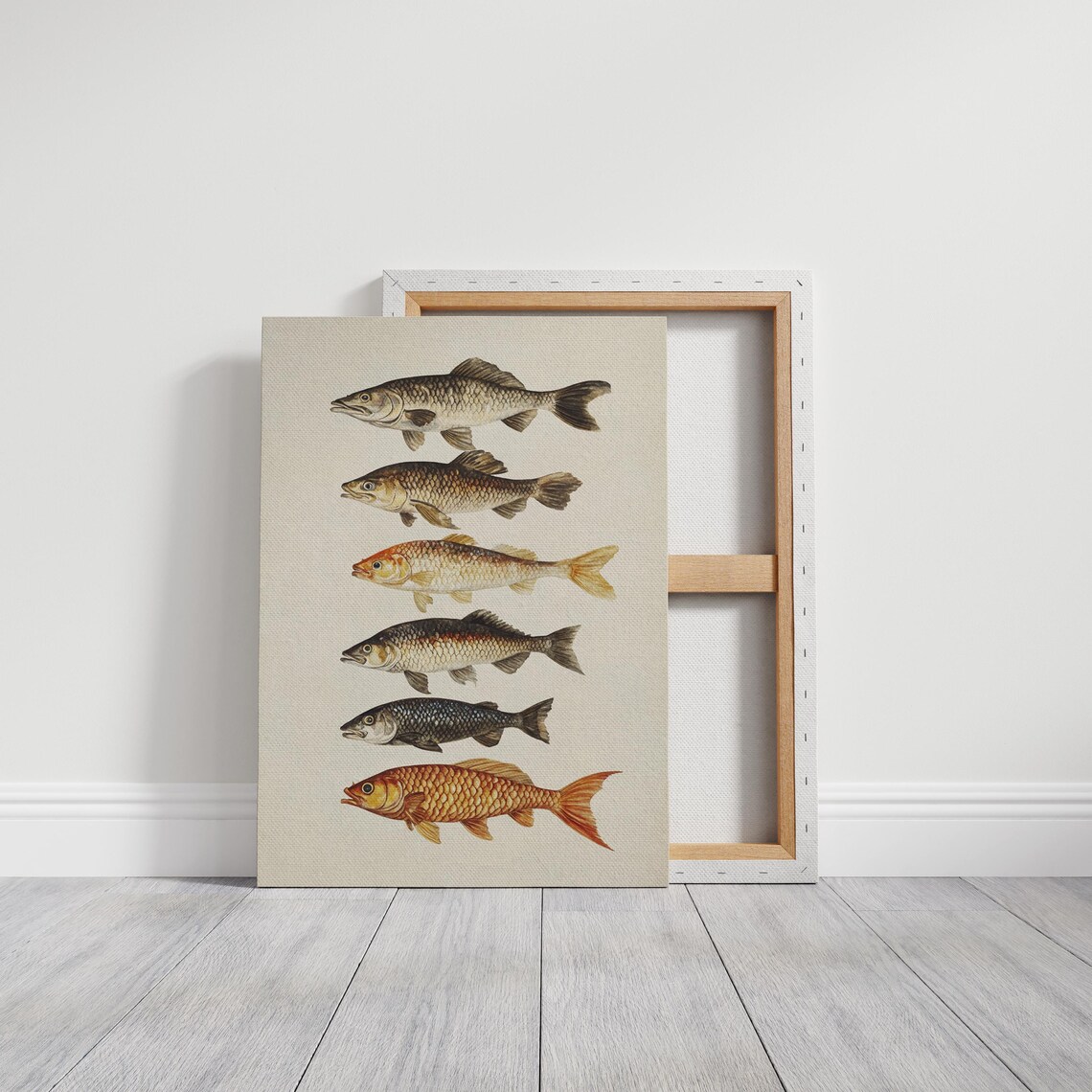 Six Vintage Fish Species Illustration Rustic Coastal Nature Art Poster - Image 6