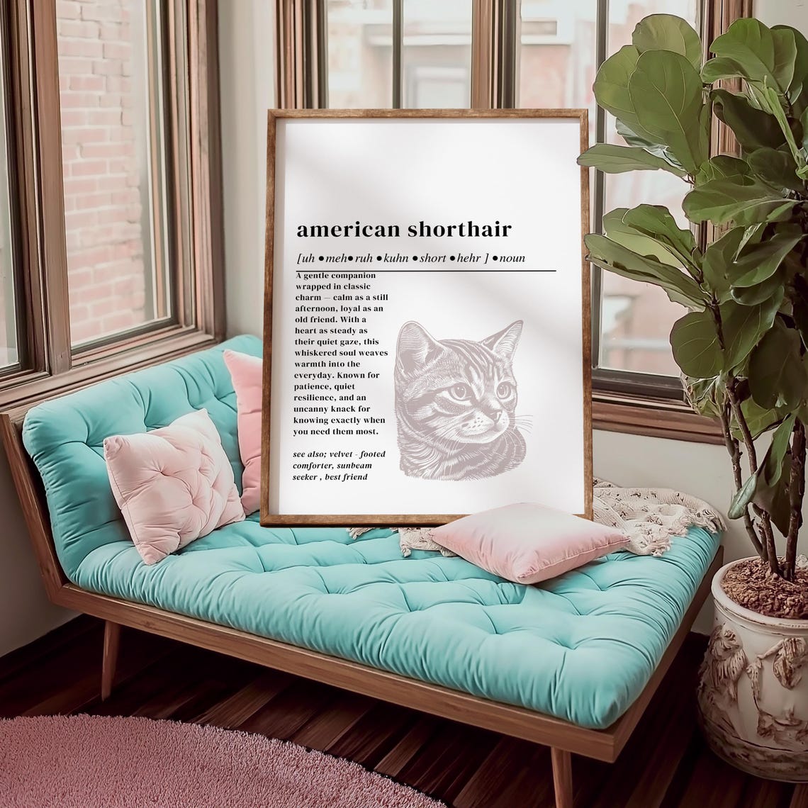 American Shorthair Definition Funny Dictionary Cat Lover Poster