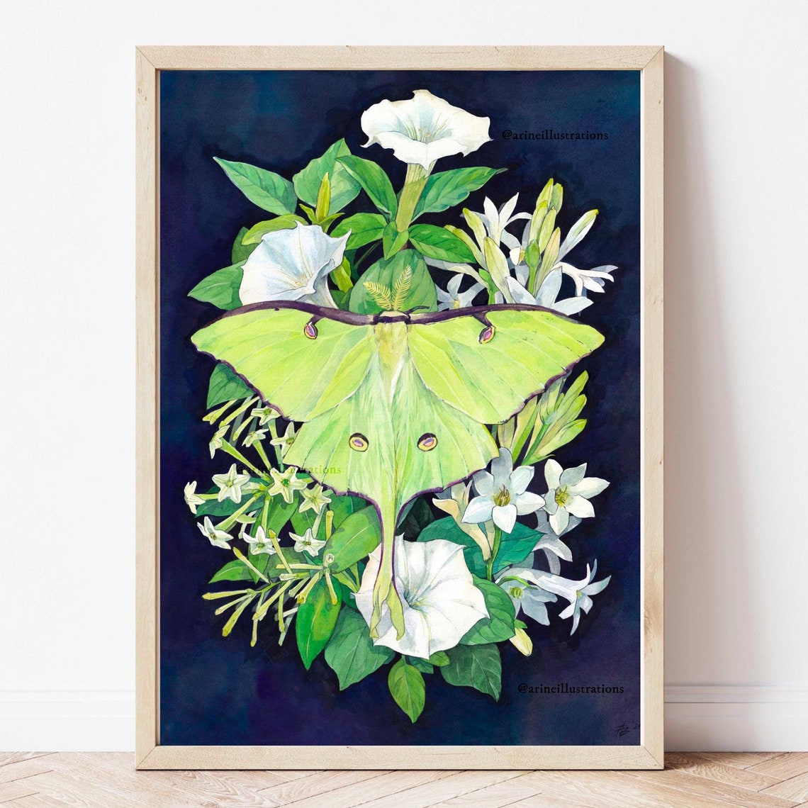 Luna Moth Night Blooming Flowers Dark Botanical Watercolor Poster