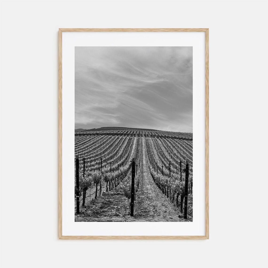 Sonoma California Vineyard Rows Black and White Wine Country Poster