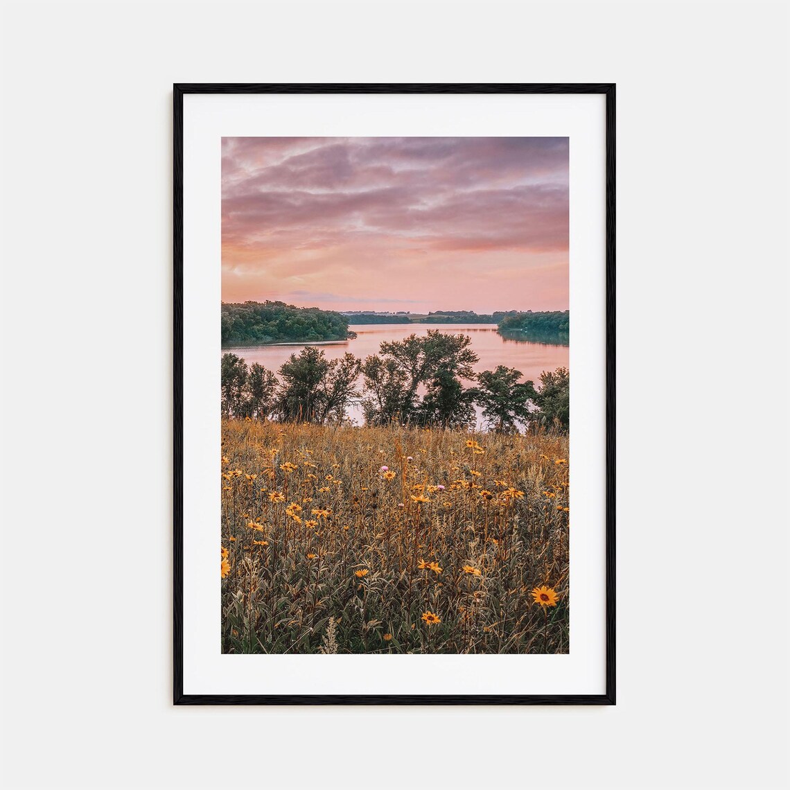 Minnesota Wildflower Meadow Blooms Lake Pink Sunset Prairie Poster