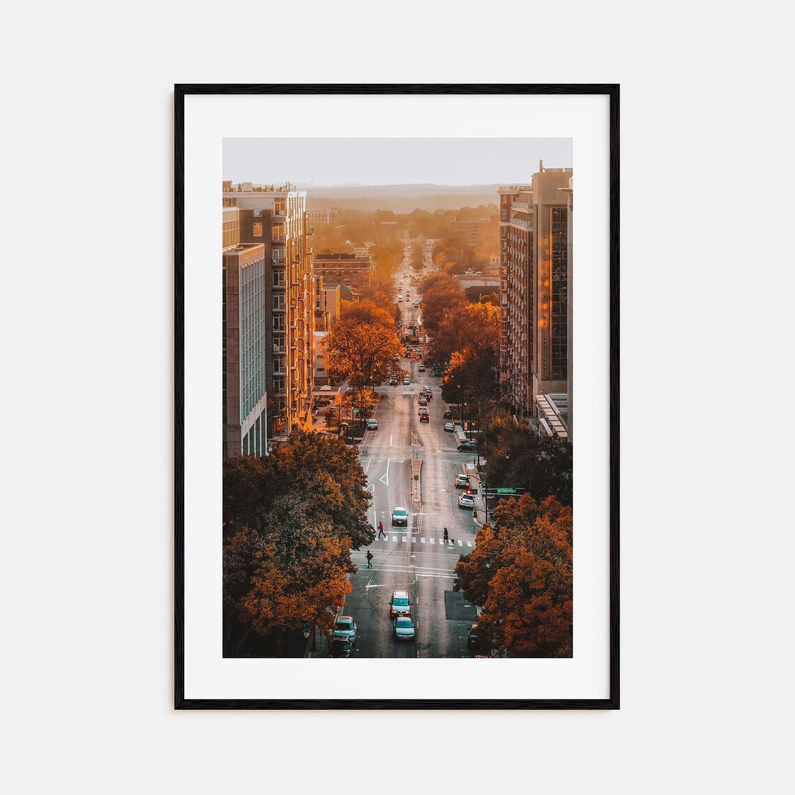 Madison Golden Hour City Avenue Autumn Trees Urban Street Poster