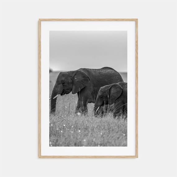 Elephant Photo Poster Print No 1 Elephant Black And White Art Elephant Wall Photography Elephant Travel Elephant Map Poster