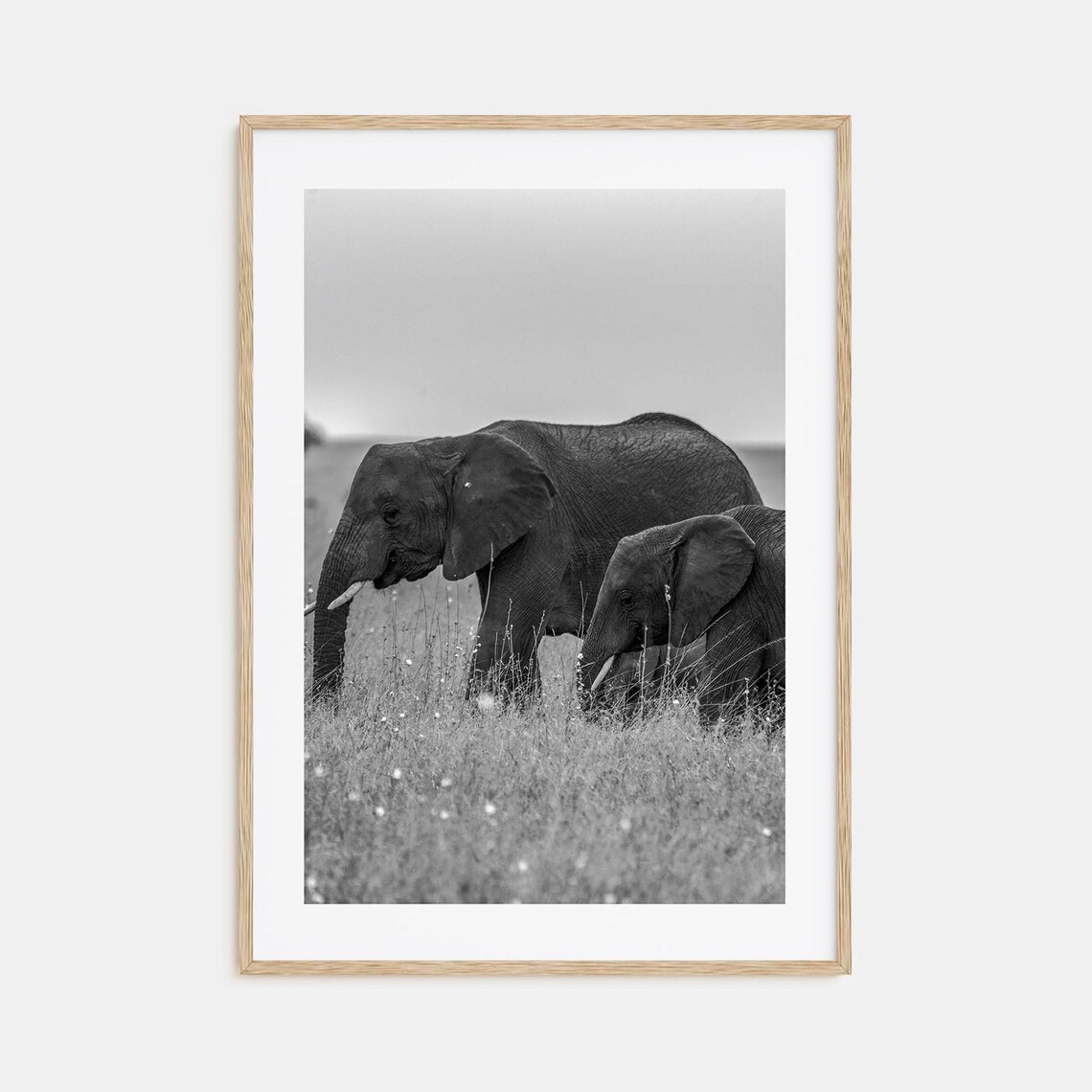 Elephant Mother And Calf Walking In Savanna Black And White Poster