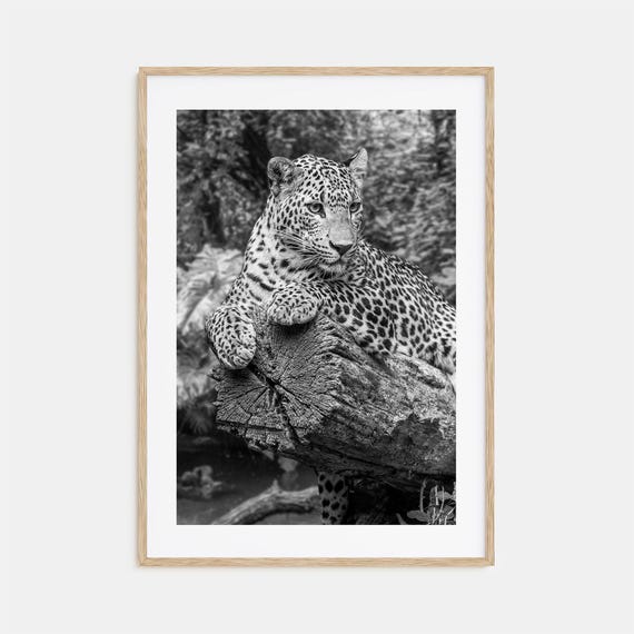 Leopard Photo Poster Print No 2 Leopard Black And White Wall Art Leopard Wall Photography Leopard Travel Leopard Map Poster