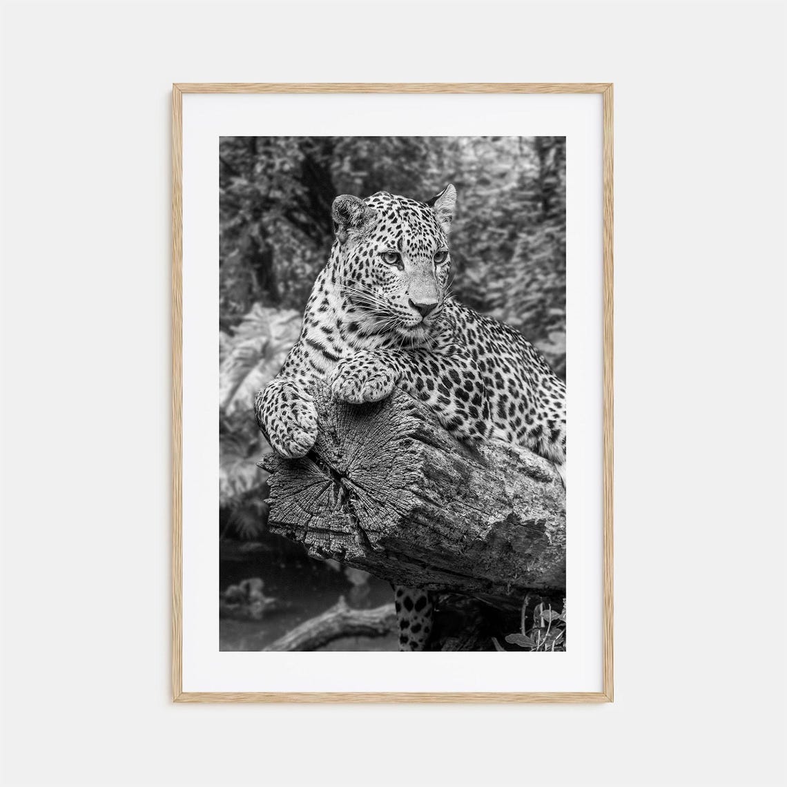 Leopard Photo Poster Print No 2 Leopard Black And White Wall Art Leopard Wall Photography Leopard Travel Leopard Map Poster
