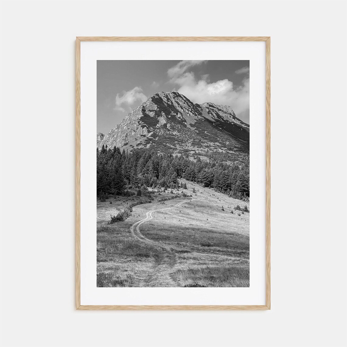 Kosovo Mountain Trail Black And White Alpine Peak Landscape Poster
