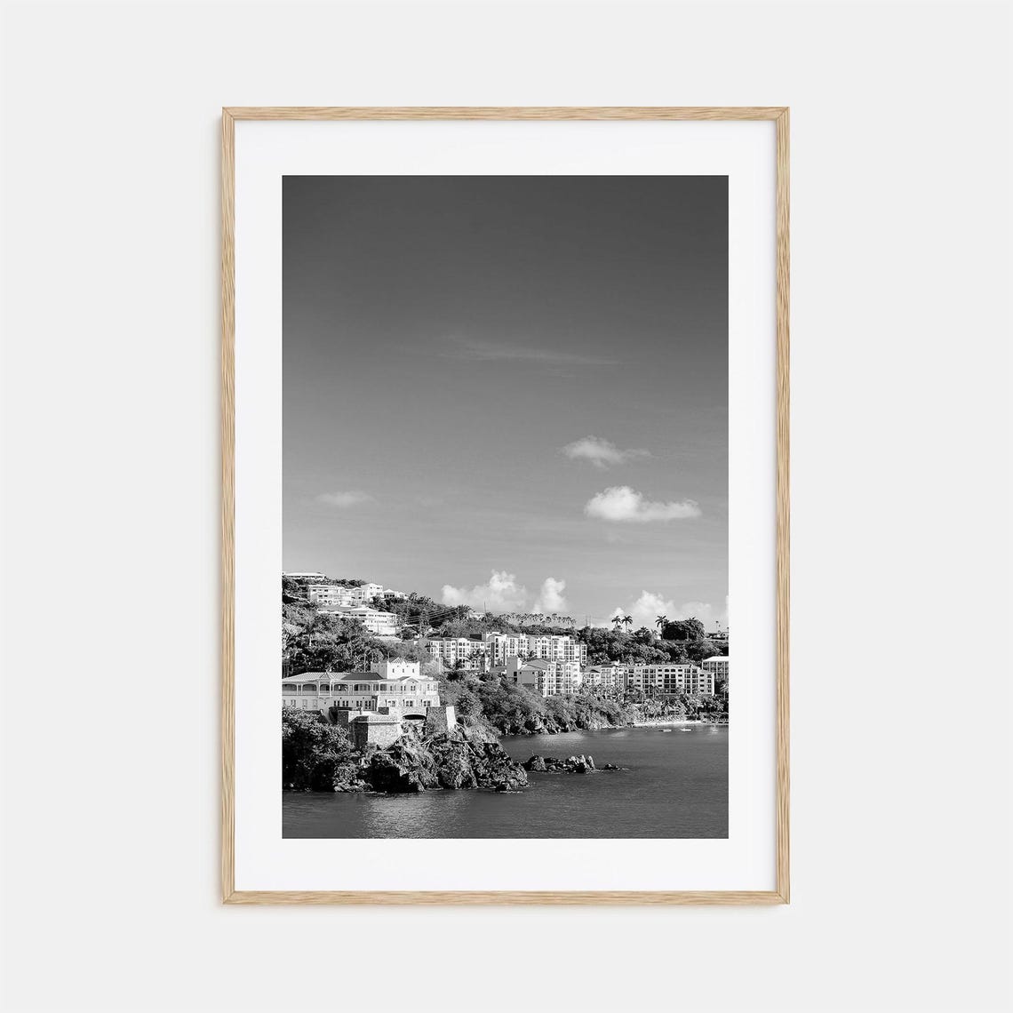 Saint Thomas Caribbean Harbor Hillside Resorts Black and White Poster