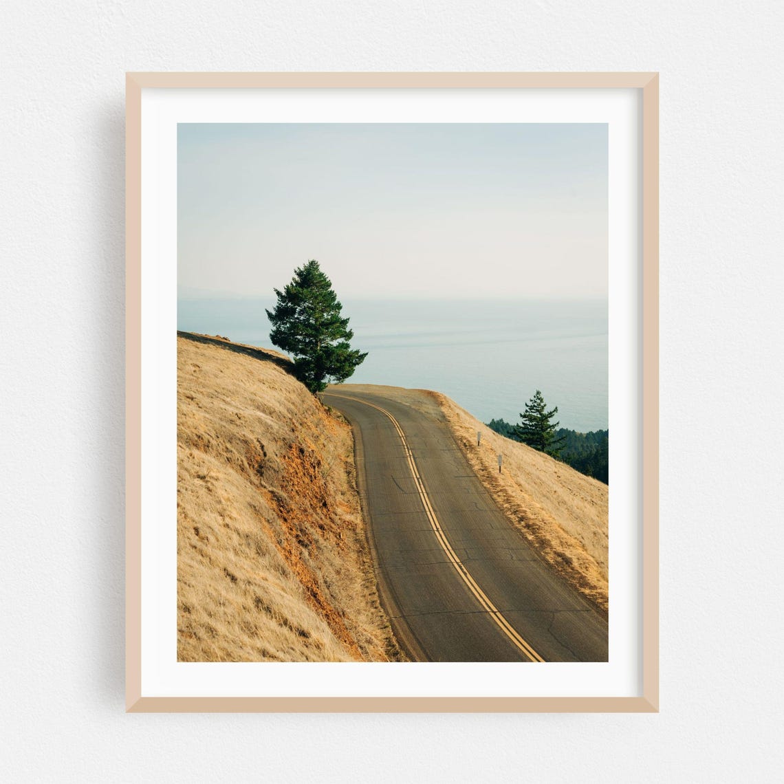 Winding Coastal Road With A Lone Tree Overlooking The Ocean Poster