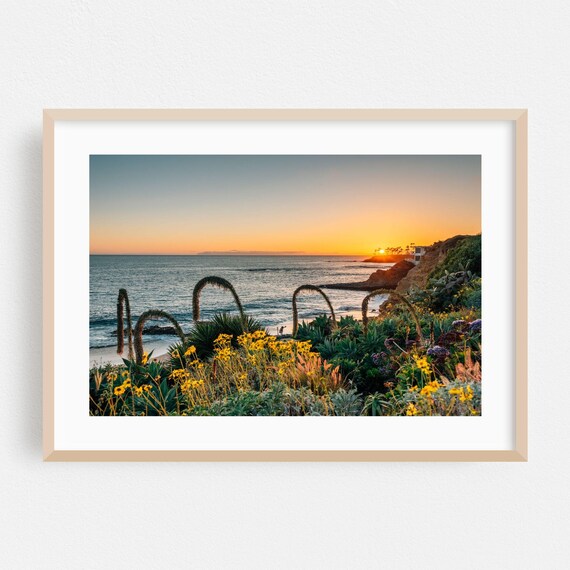 Laguna Beach California Sunset Coastal Cliffs Wildflowers Poster