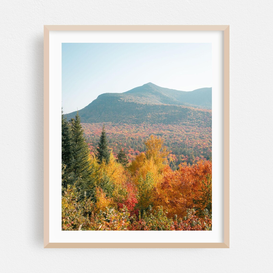 Autumn Foliage Mountain Peak Forest Landscape Photography Poster